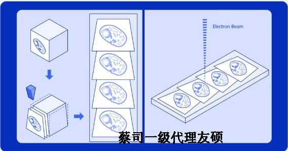 张家口蔡司张家口扫描电镜