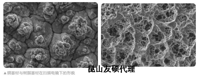 张家口蔡司张家口扫描电镜