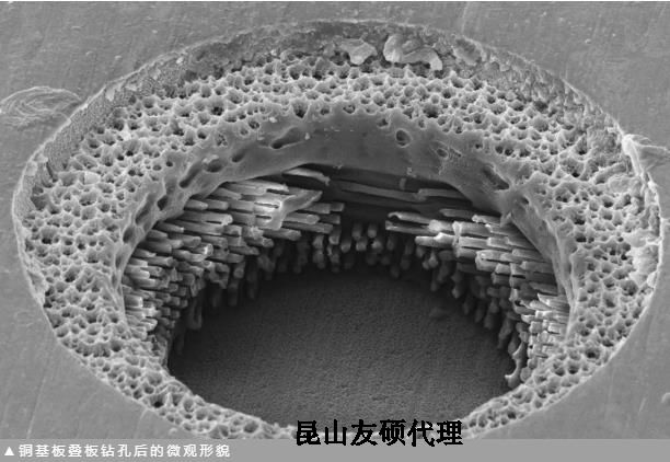 张家口蔡司张家口扫描电镜